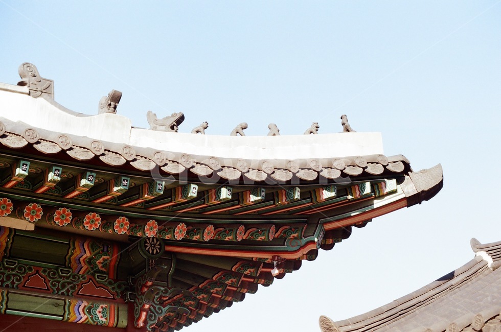 building,건물,architecture,건축물,flim,처마,동물,animal,어처구니,궁궐,고궁,한국전통,한국문화,korean traditional,korean culture,건축물,건물외관,exterior,building,structure,architecture,construction