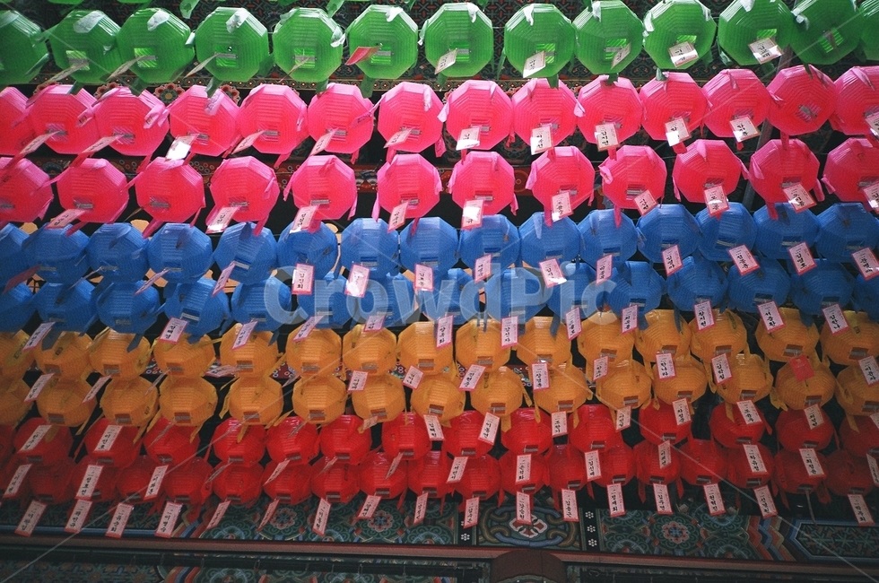 불교,절,사찰,연등,temple,필름,필름사진,film