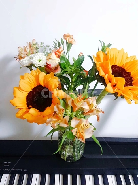 꽃,피아노,꽃병,노란꽃,flower
