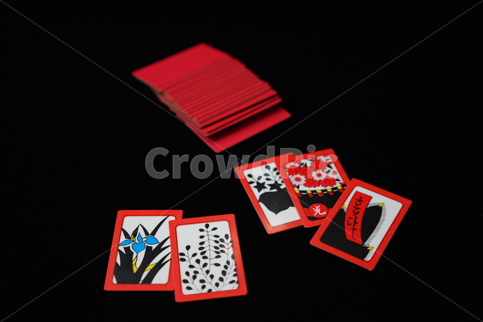 화투,고스톱,게임,놀이,도박,카드,카드게임,card,화투패,한국전통,한국문화,korean traditional,korean culture,게임,오락,놀이,game,play