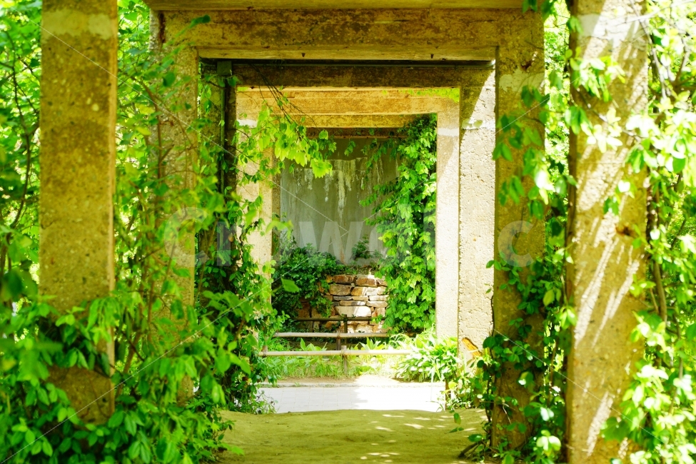 식물,돌,선유도,액자,콘크리트,자연,풍경,nature,landscape,휴식,힐링,rest,relaxation,healing,porch,현관,outdoors,옥외,patio,안마당