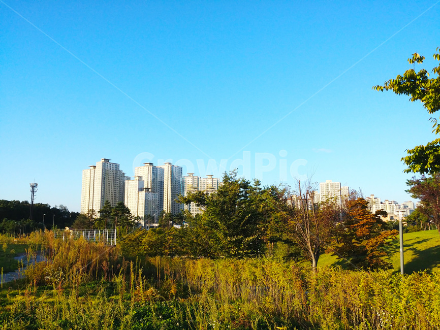 아파트,숲,하늘,아파트단지,나무,건물,건축,전경,동네,마을