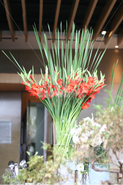 꽃,플라워,우아,빨강,초록,데코레이션,인테리어,분위기,무드,식물,자연,plants,nature,꽃,flower