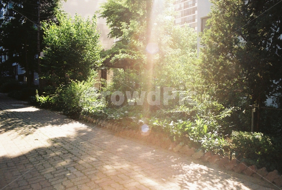 햇빛,아파트단지,나무,그림자,산책,감성,sensible,feeling,휴식,힐링,rest,relaxation,healing