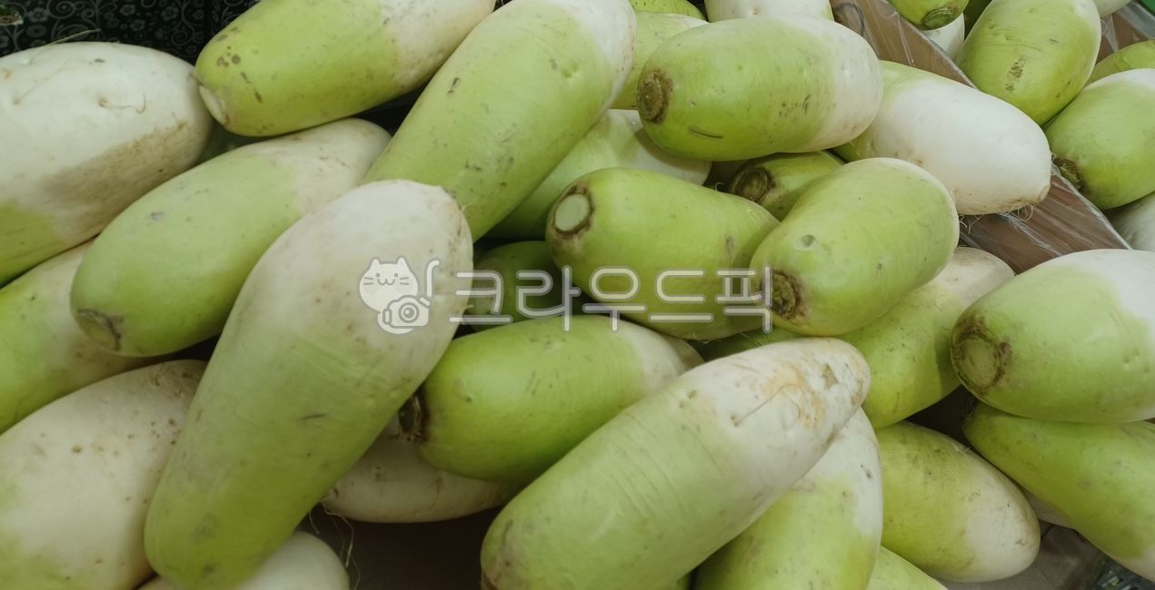 음식, food, 무우, 무, 겨울무, 사진,이미지,일러스트,캘리그라피 - seokuiok작가