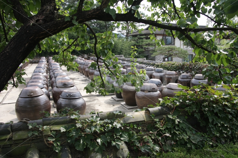 장독대,항아리,전통,풍습,고추장,된장,간장,장맛,pot,jar,crock,tradition,custom,한국전통,한국문화,korean traditional,korean culture