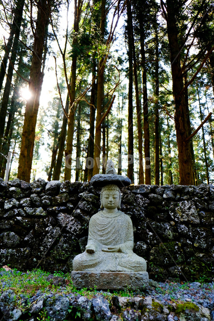 숲,사찰,절,부처,불상,부처님,불교,돌상,temple,statue