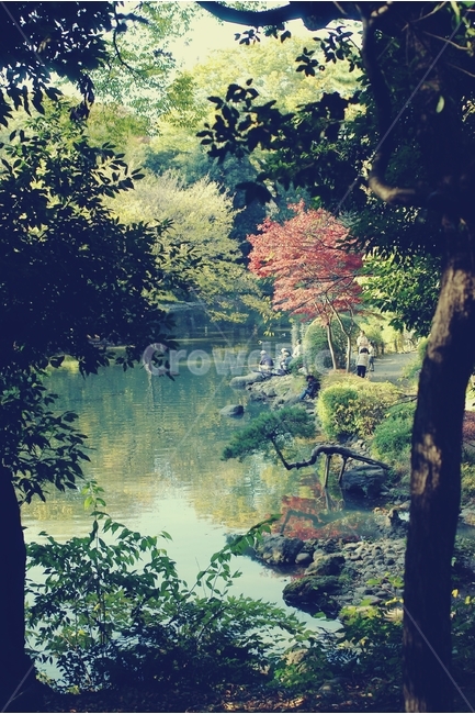 공원,일본,japan,도쿄,tokyo,연못,pond,숲,forest,park,자연,풍경,nature,landscape,감성,sensible,feeling,휴식,힐링,rest,relaxation,healing,tree,나무,plant,식물,vegetation,초목