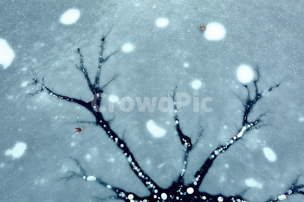 얼음,상상력,동화,동화삽화,ice,imagine,imagination,alien,구름,cloud,나무,tree,자연현상,신기함,자연의신비,겨울,계절,winter,season