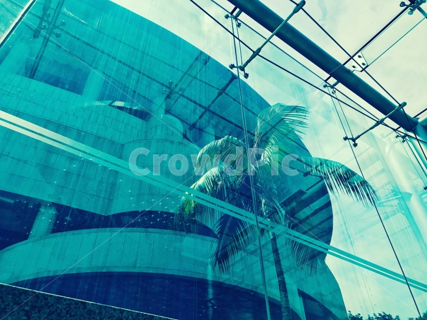 파란색,나무,유리,여름,오후,건축물,건물외관,exterior,building,structure,architecture,construction
