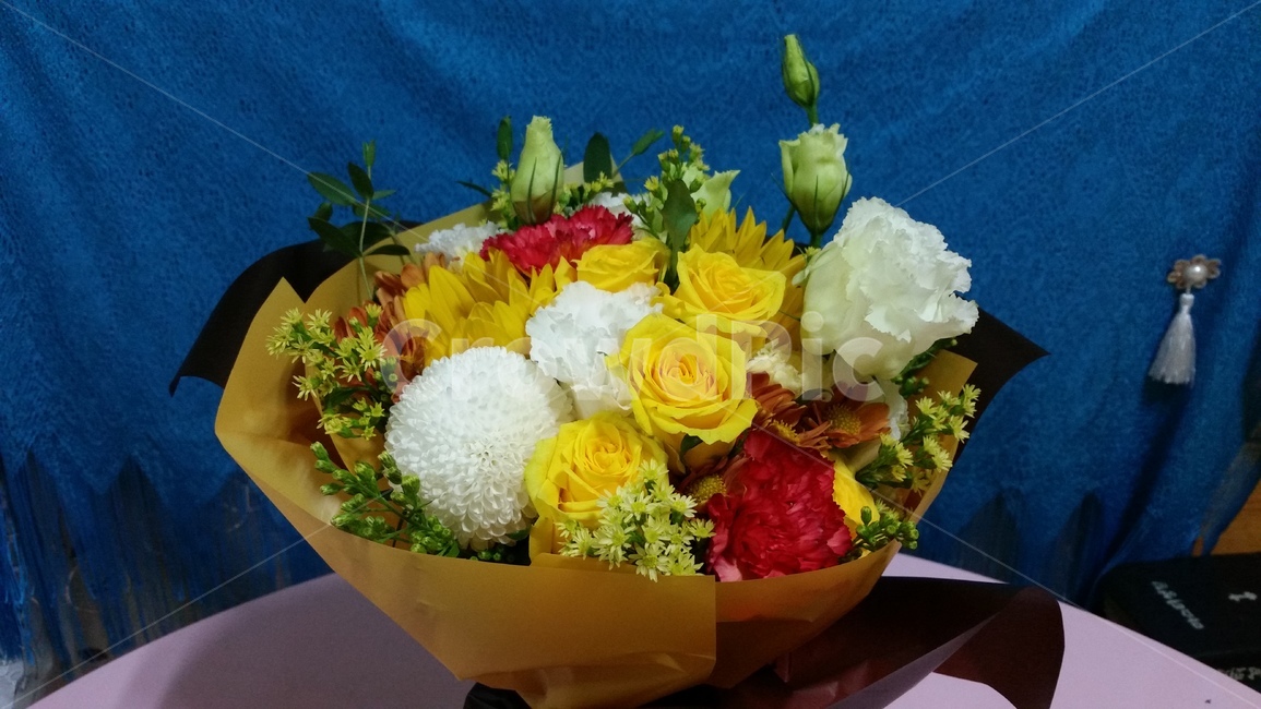 식물,꽃꽃이,꽃부케,꽃다발,flower,식물,자연,plants,nature,꽃,flower