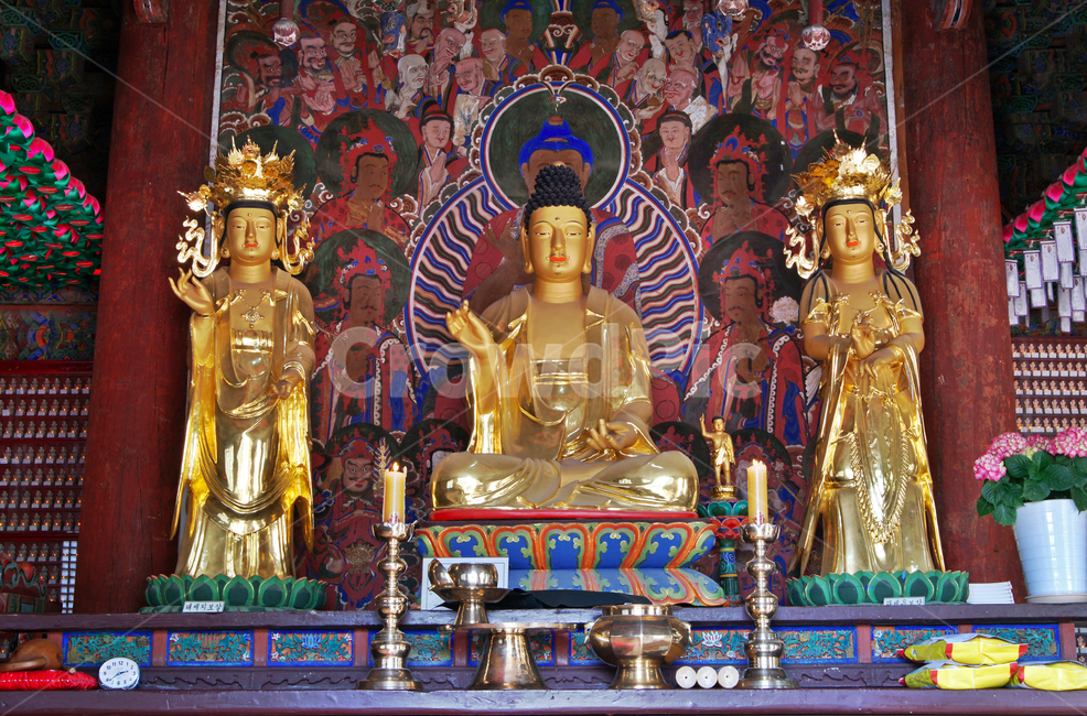 목조아미타여래삼존상,신륵사,보물제1791호,협시불,삼존불,여주,조선시대,석가모니불,대세지보살,관세음보살,종교,신앙,religion,belief,faith