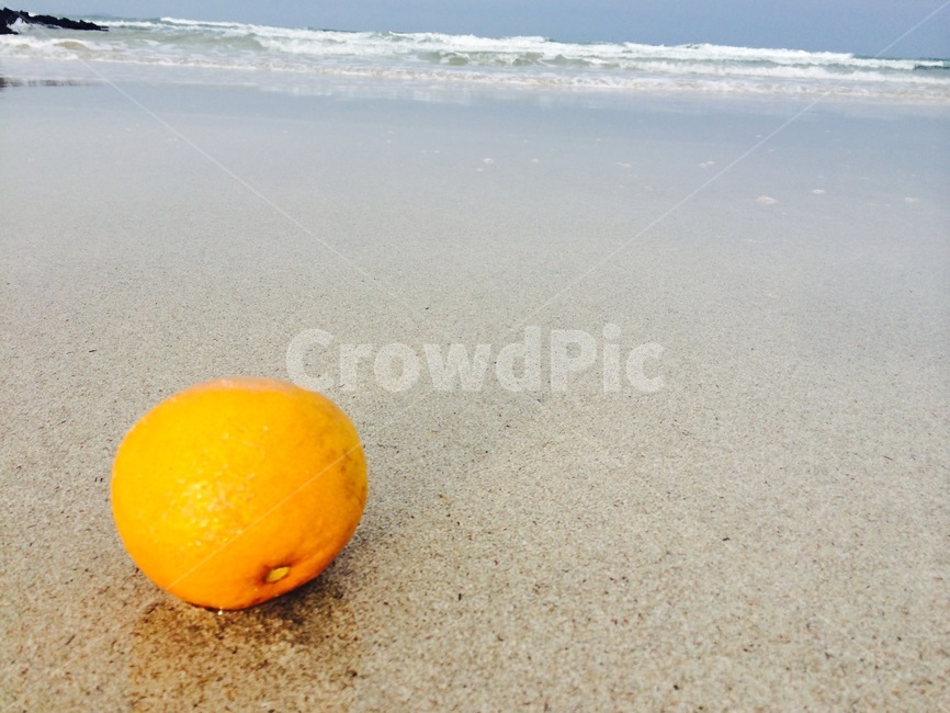 바다,파도,해변,귤,자연,풍경,해변,바다,beach,sea,과일,열매,fruit