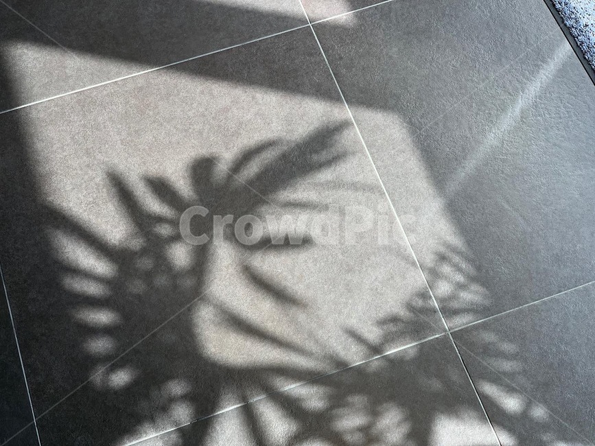 floor,바닥,야자수,palmtree,대만,taiwan,그림자,shadow,타일,tile,leaf,잎,나뭇잎