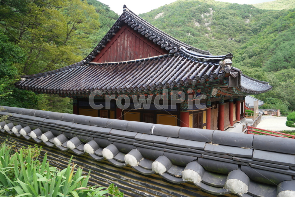 절,시골,자연,지붕,기와,한국전통,한국문화,korean traditional,korean culture