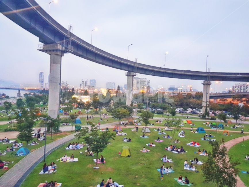 뚝섬,한강,배경,풍경,사진,도시,풍경,city,landscape,한국도시풍경,한국도시경관,korea cityscape,사람들,대중,군중,other people,crowd,plant,식물,grass,잔디,road,도로