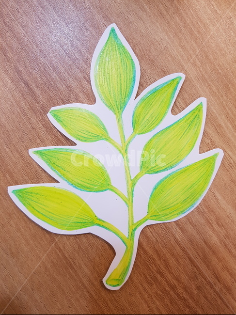 손그림,색연필,나뭇잎,그림,자연,녹색,초록,연두,낙서,나무