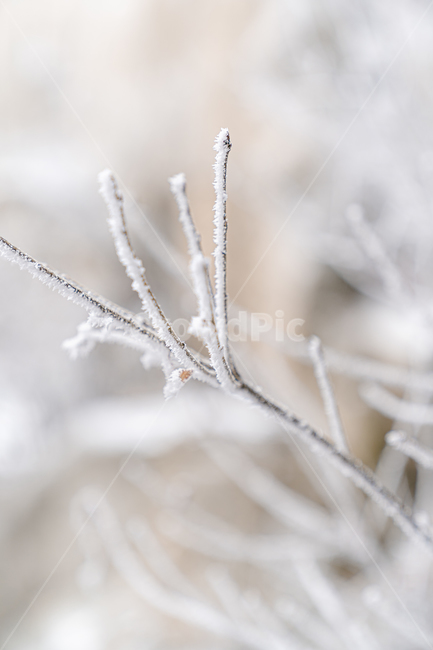 nature,자연,outdoors,옥외,ice,빙,snow,눈,frost,서리,등산,상고대,산