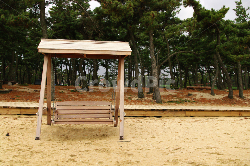 의자,소나무,숲,솔잎,모래사장,해변,바다,beach,sea