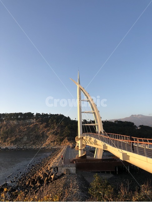 제주,제주도,바다,자연,다리,배경,배경화면
