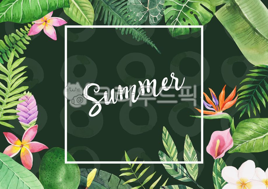 포스터,배경,백그라운드,수채화,수작업,일러스트,일러스트레이션,그림,이국적인,시즌,계절,여름,식물,열대,트로피컬,열대식물,드로잉,야자수,열대나무,열대꽃,꽃,나뭇잎,플루메리아,몬스테라,캘리그라피,캘리그래피,캘리,영문,영어,안스리움,패턴,극락조화,틸란드시아,poster,background,watercolor,illustration,painting,drawing,summer,tropical,plant,leaf,floral,flower,botanical,calligraphy,graphic,frame,hibiscus,plumeria,anthurium,palm,monstera,그래픽,일러스트레이션,graphic,illustration