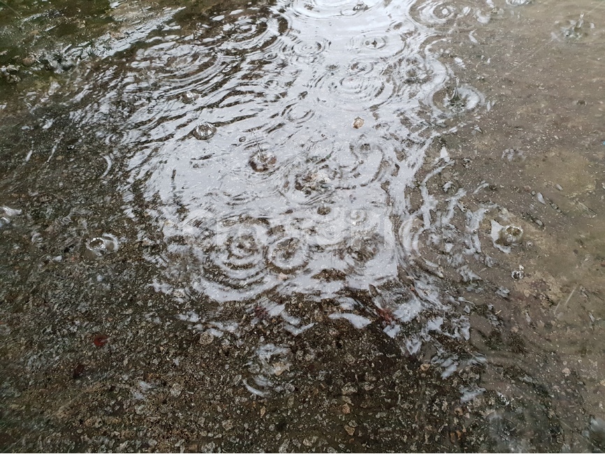 빗방울,물,빗물,패턴,배경,날씨,감정,비오는날,rain,raindrops,background,weather,pattern,비,비오는날,rain,rainy