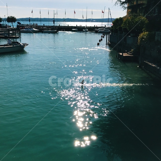 호수,이태리,햇빛,새,lake,gardalake,ltalylake,반짝이는,잔잔한,조용한,해질녘