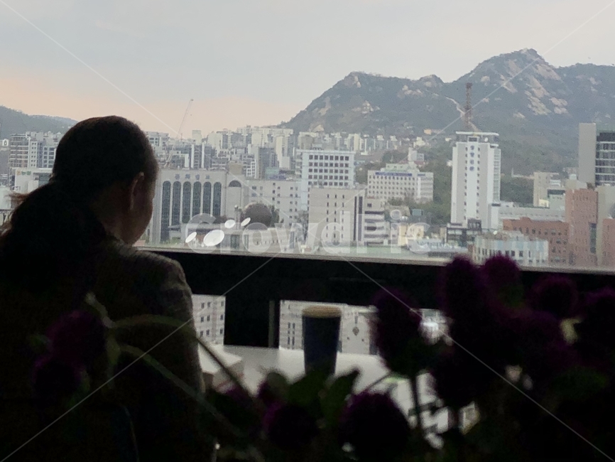 human,인간,person,사람,사무실건물,building,officebuilding,카페,cafe,커피,coffee,풍경,seoul,서울,도시,공부,근무,독서,하늘,산,건물