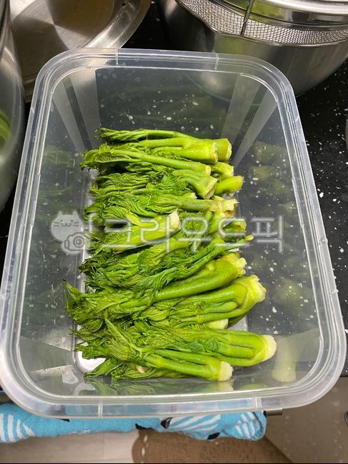 음식,food,두릅,참두릅,두릅나물,나물,봄나물