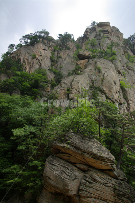 산,바위,암석,풍경,나무,자연,풍경,nature,landscape,cliff,낭떠러지,outdoors,옥외