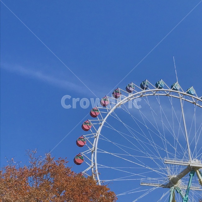 소풍,놀이동산,관람차,하늘,평화,주말,여유,힐링