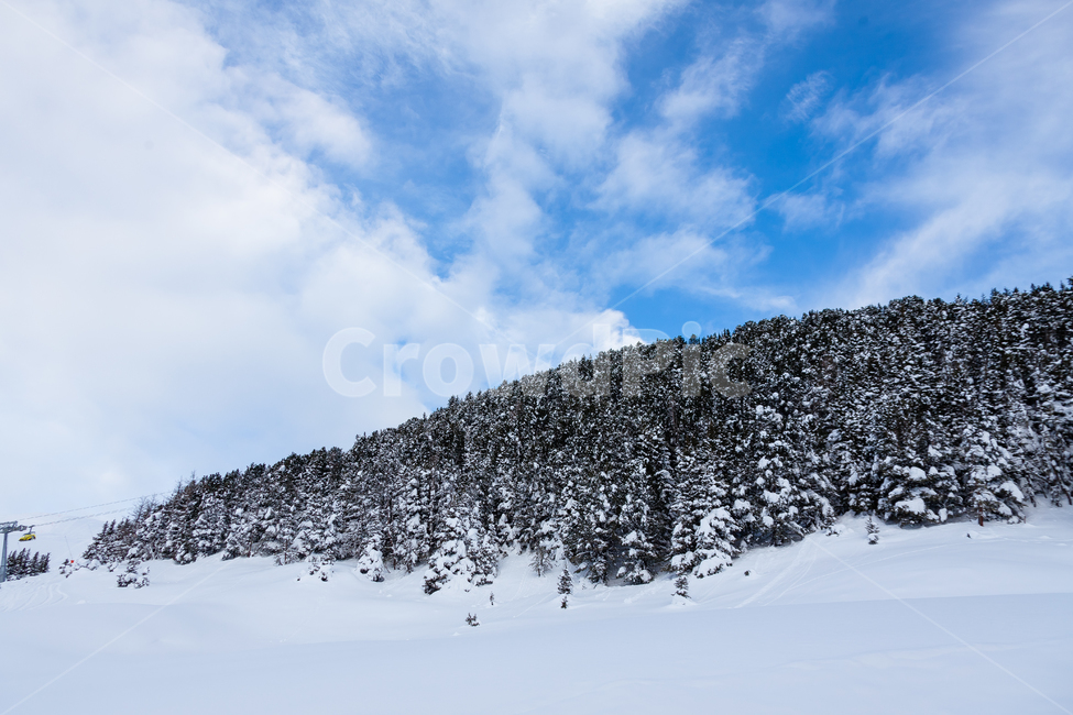 융프라우,알프스산맥,스위스,눈,겨울,산,겨울,계절,winter,season,자연,풍경,nature,landscape,해외,외국,세계,foreign,oversea,world,세계자연풍경,해외자연풍경,외국자연풍경,world nature landscape,tree,나무,plant,식물,fir,전나무,abies,아비
