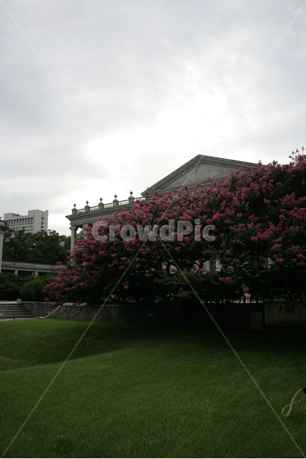 덕수궁,석조전,근대건축,한국,고궁,한국전통,한국문화,korean traditional,korean culture,랜드마크,landmark,tourist attraction,한국랜드마크,한국관광지,한국명소,korea landmark,korea tourist attraction