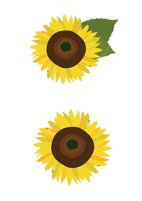 해바라기,꽃,여름,식물,sunflower,그래픽,일러스트레이션,graphic,illustration