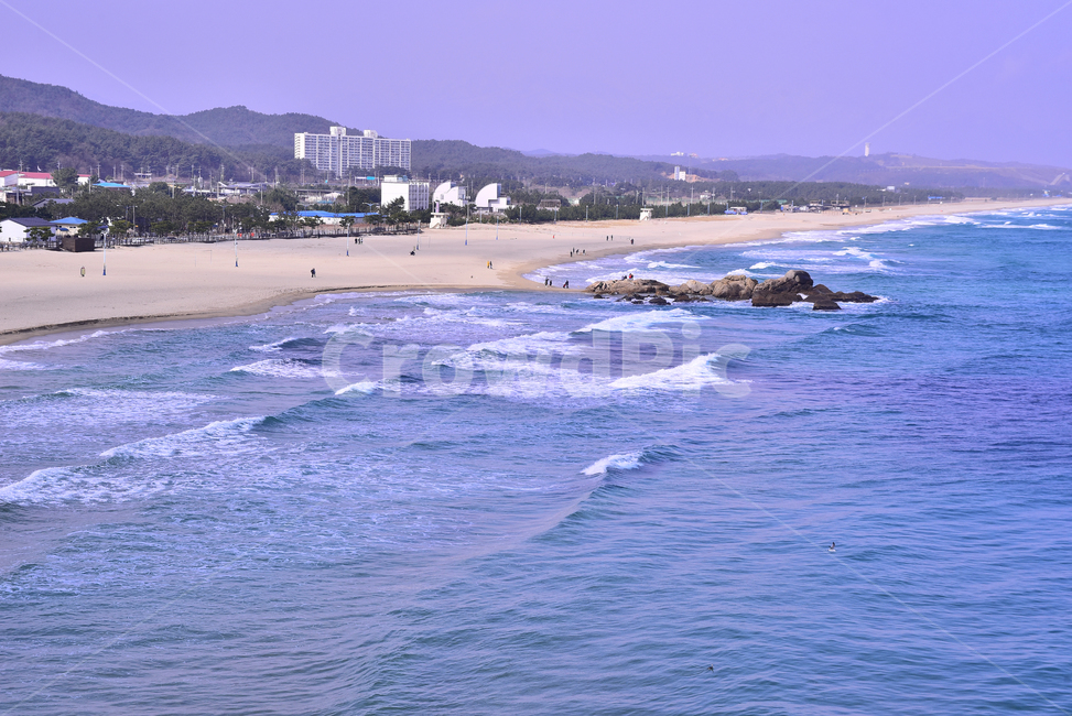 바다풍경,한국자연경관,동해안,소나무,파도,포말,물결,건물,해수욕장,해안,백사장,모래사장,풍경,웨이브,wave,한국자연풍경,sandybeach,블루,파랑색,상록수,투명한,맑은,청명,해안선