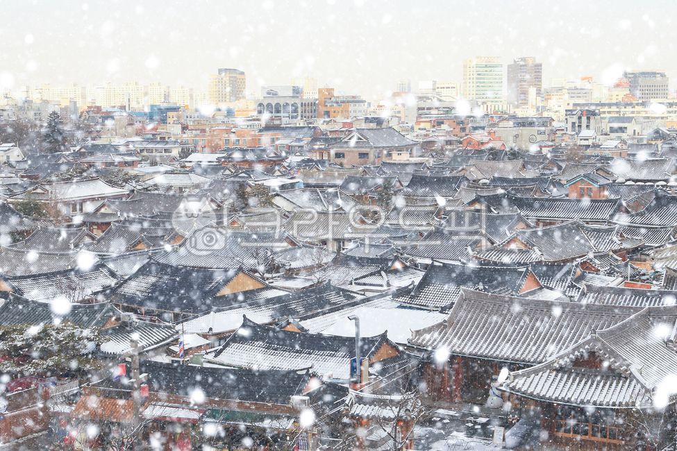 겨울,설경,눈,한옥,한옥마을,전통,주택,랜드마크,자연,풍경,계절,겨울배경,눈풍경,겨울풍경,눈오는날,겨울이미지,지붕,오목대,건축물,전주,한국,snow,winter,house,outdoors,snowfall,weather,season,traditional,hanok,korea,village,culture,건물