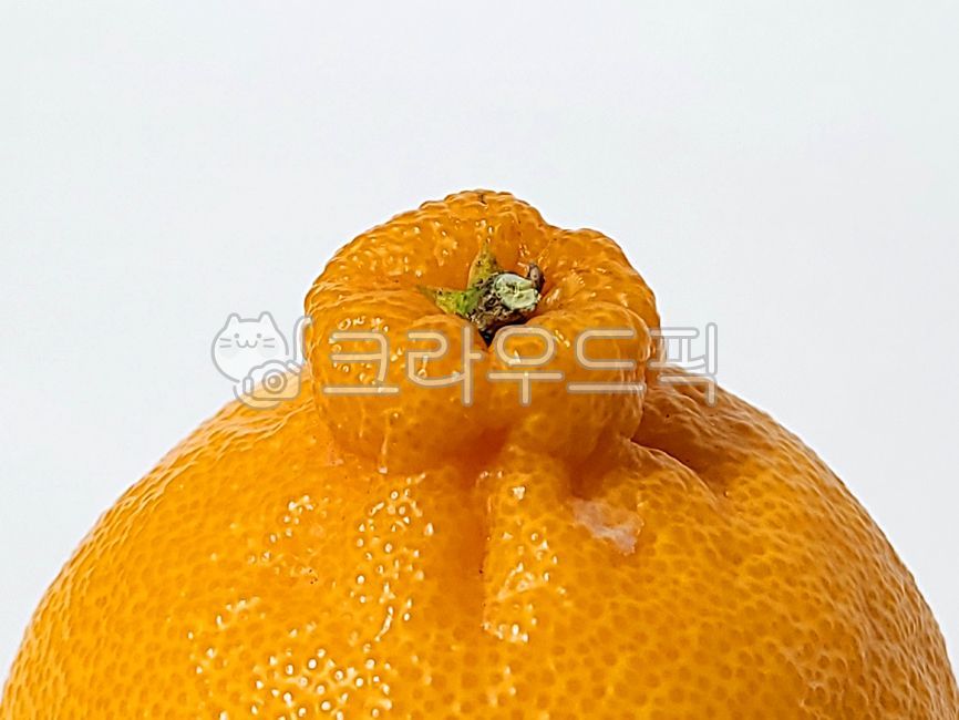 mandarin,citrus fruits,Jeju Hallabong,fruit,plant,Hallabong,food