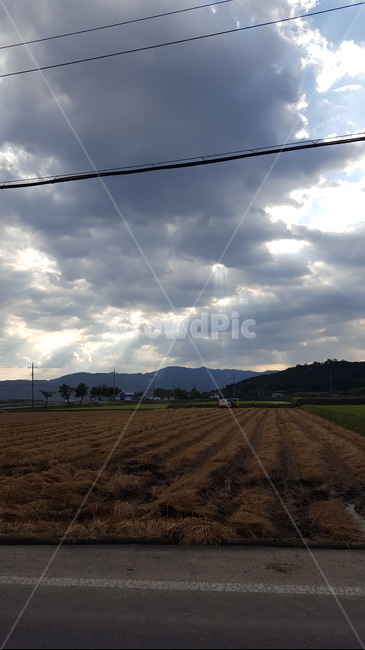 하늘,구름,노을,가을하늘,따스함,따뜻함,감성,색감,일상,날씨,풍경,nature,landscape,sky,daily,sunset,자연,풍경,nature,landscape,outdoors,옥외,weather