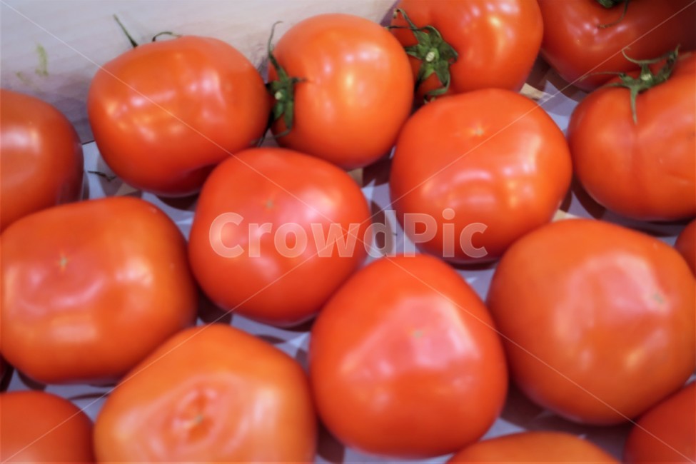 토마토,야채,채소,짭짜리,유기농,열매,결실,농산물,농작물,음식,식재료