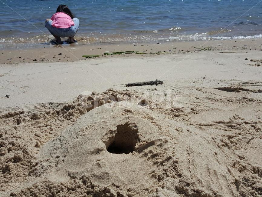 두꺼비집놀이,뒷모습,모래,바다,모래놀이,sea,해변,바다,beach,sea