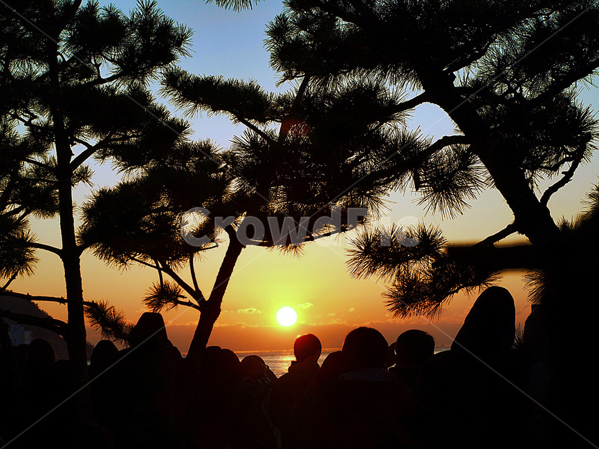 일출,sunrise,sunset,nature,자연,outdoors,옥외,sunlight,햇빛,person,사람,tree,sea,바닷가,하늘