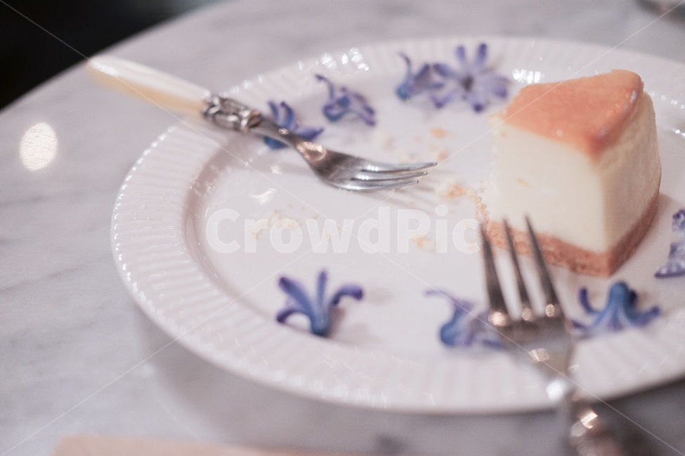 케이크,치즈,카페,접시,입테리어,테이블,꽃,장식,음식,식재료,요리,food,cook,meal,dishes,food reserves,빵,bread,디저트,간식,후식,dessert,snack,감성,sensible,feeling