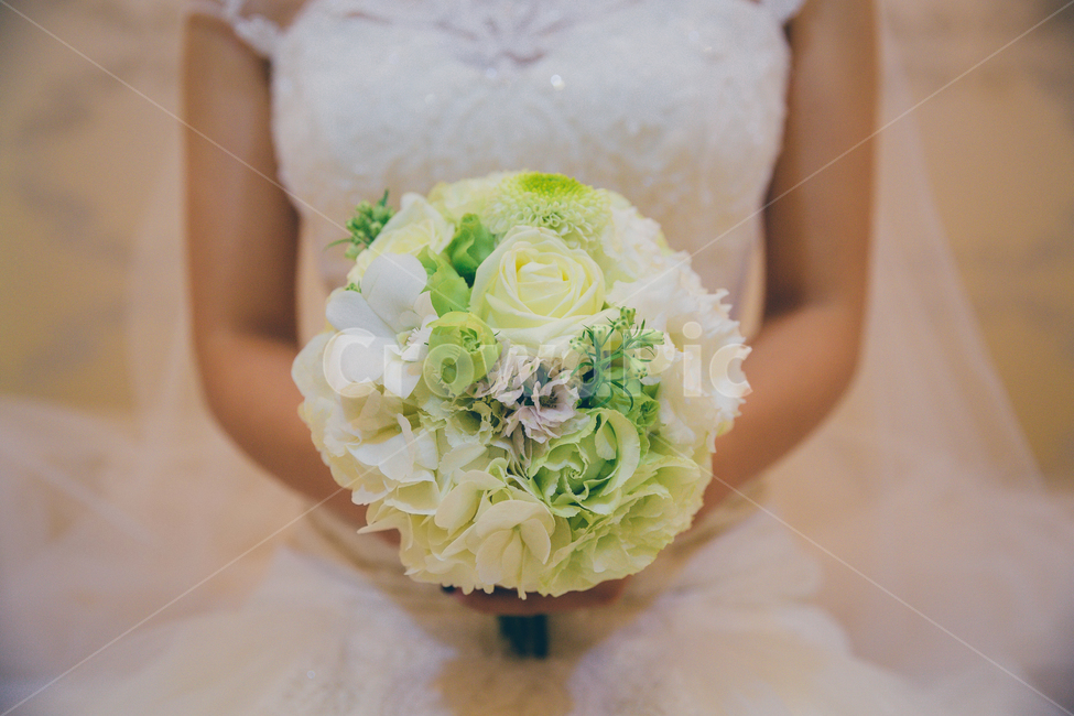 신부,결혼,부케,꽃,추억,사람,인간,여자,웨딩,축하,wedding,결혼,혼례,웨딩,wedding,marriage,marry