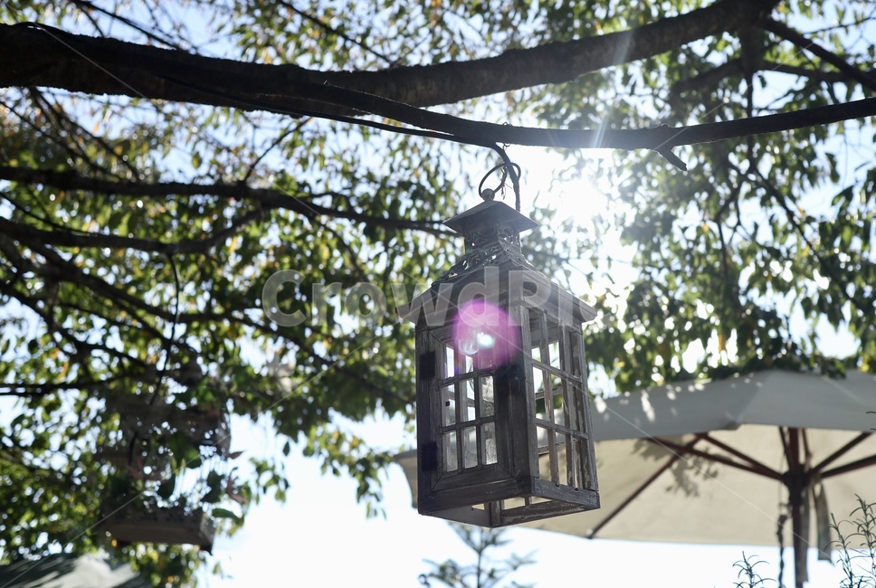 등,lamp,햇살,나무,카페,야외,outdoor