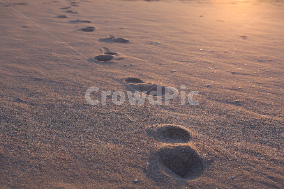 해변,모래,아침,발자국,beach,morning,sand,footprint,해변,바다,beach,sea