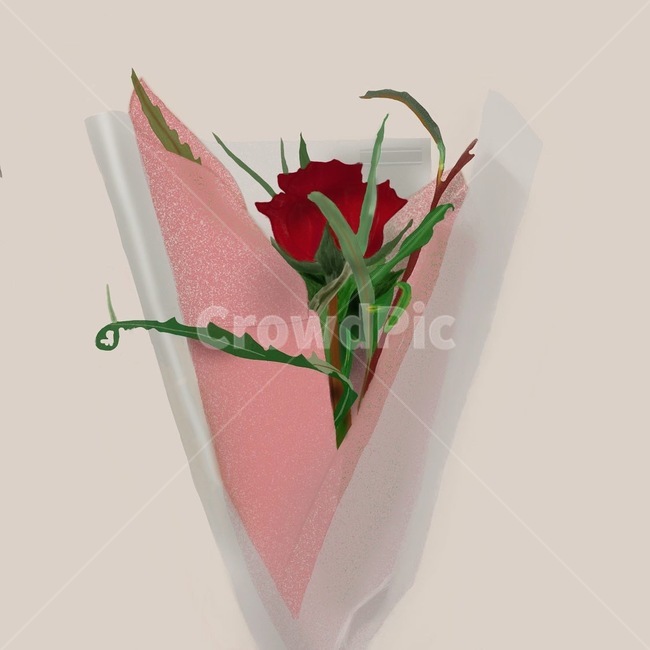plant,식물,flower,꽃,blossom