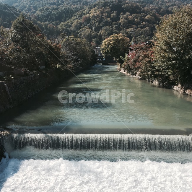 자연,nature,강,river,물
