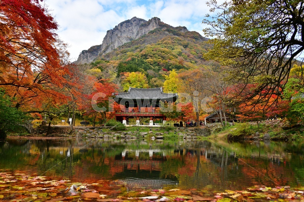 전남,장성,북하면,연못,백학봉,쌍계루,백양사,단풍,자연,경치,경관,풍경,산,가을,계절,fall,autumn,season,자연,풍경,nature,landscape
