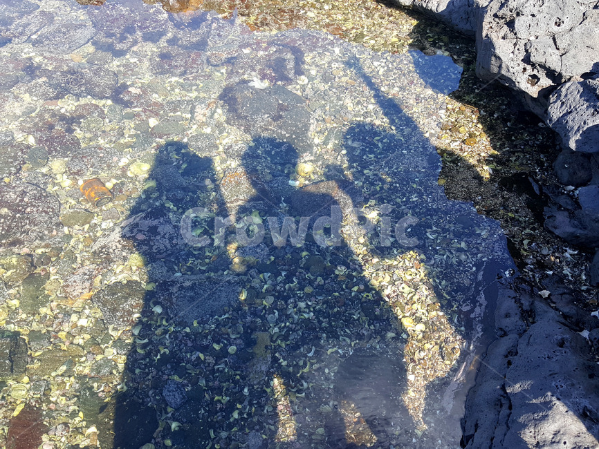 그림자,여행,사람그림자,바다,사람세명,travel,shadow,sea,trip