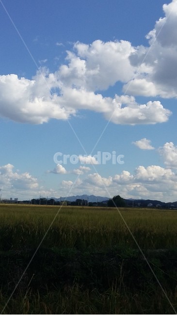 가을하늘,흰구름,들판,구름,논,자연,풍경,nature,landscape,outdoors,옥외,azure sky,푸른 하늘,sky,하늘